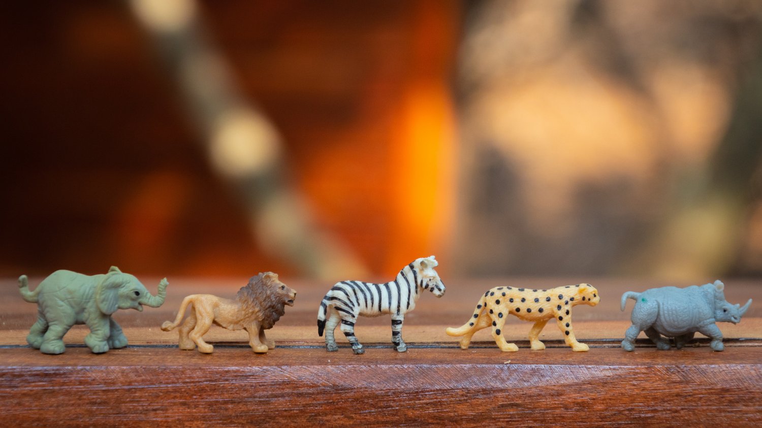 wild animals facts