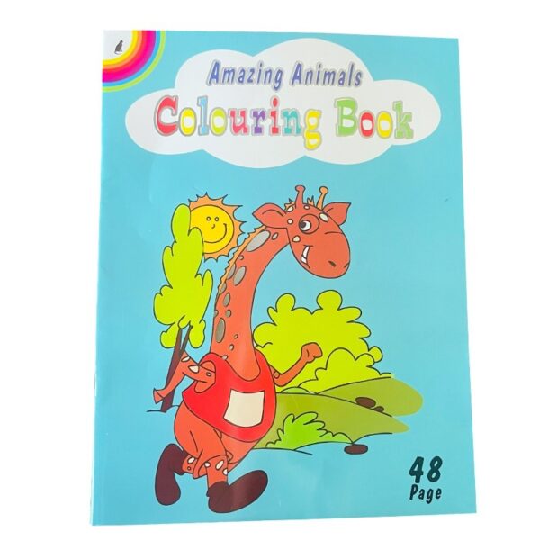 48pg colouring in book