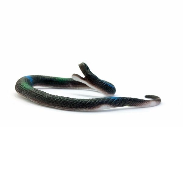 Toy Rubber Snakes