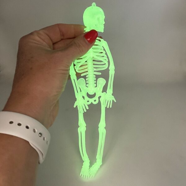 Glow in the Dark Skeleton 21cm