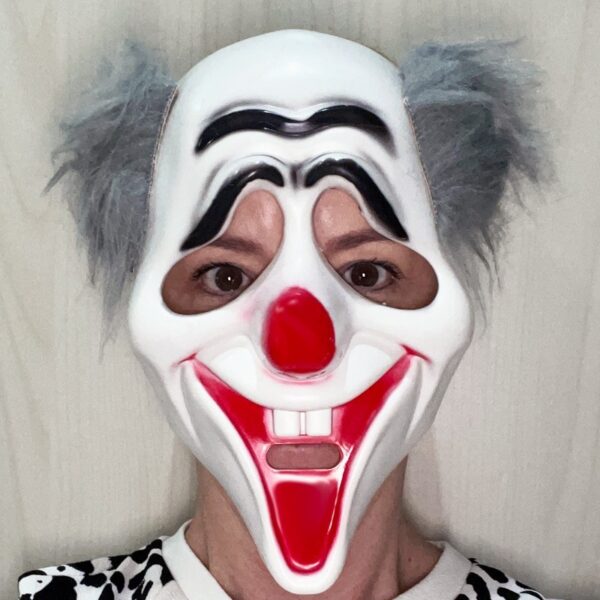 Clown Mask with Hair