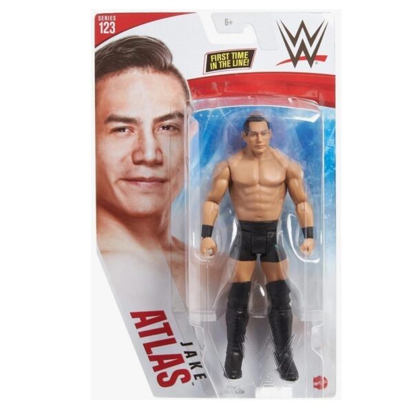 WWE Basic Figure