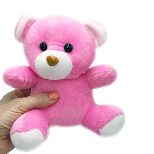 Pink Plush Teddy Bear