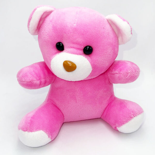 Pink Plush Teddy Bear