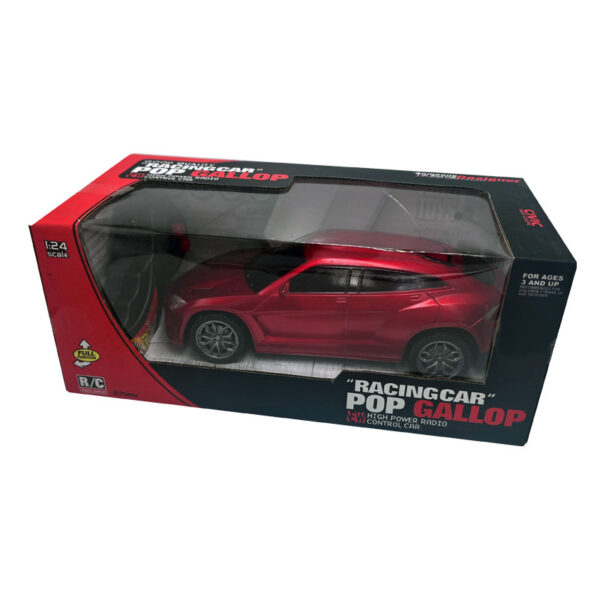 RC Car 1:24 Scale