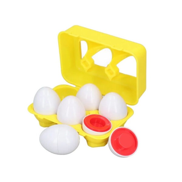 Matching Shape Eggs 6pc