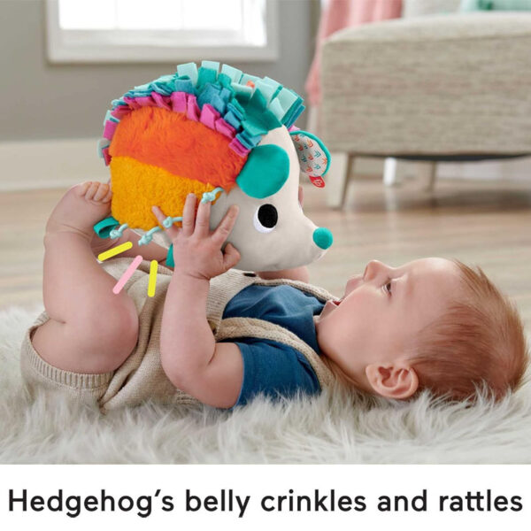 Fisher Price Cuddle N' Snuggle Hedgehog Plush