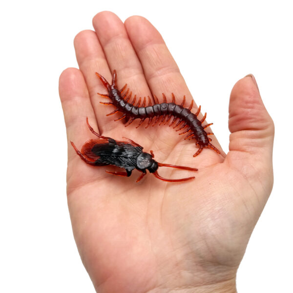 Centipede & Cockroach 2pk
