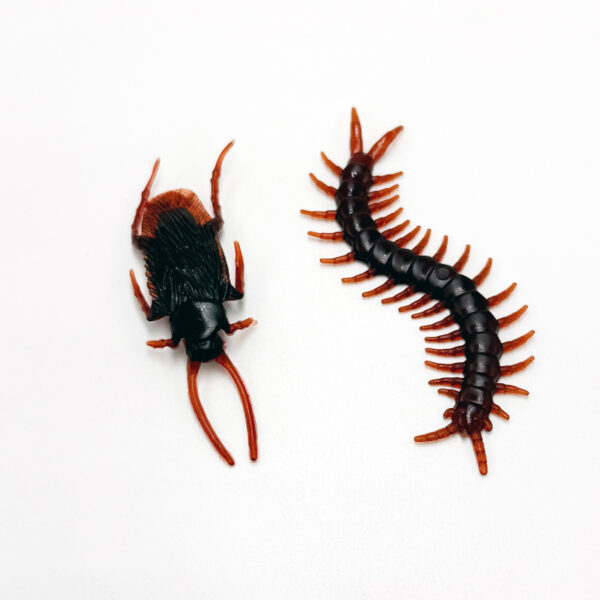 Centipede & Cockroach 2pk