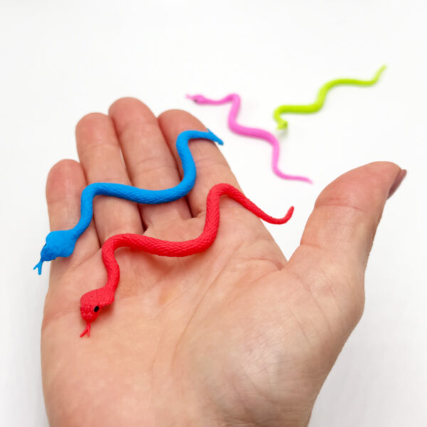 Mini Snakes Assorted